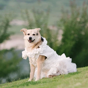 Свадебное платье для собак Кружевная юбка принцессы для собак со свадебной юбкой Одежда для домашних животных для маленьких Средних больших собак Свадебная одежда Товары для домашних животных