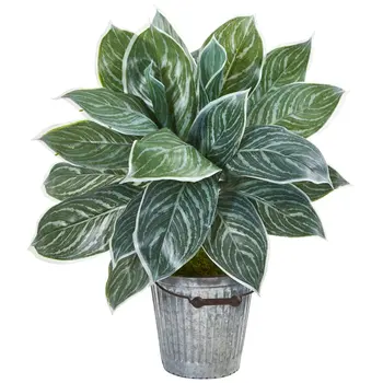 Искусственное растение аглаонема серебристая 24 ” в декоративном ведре (настоящее прикосновение)